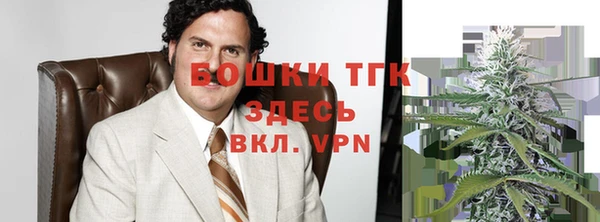 гидра Алексин