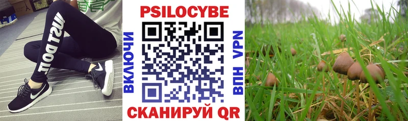 где купить наркоту  Борисоглебск  Галлюциногенные грибы мухоморы 